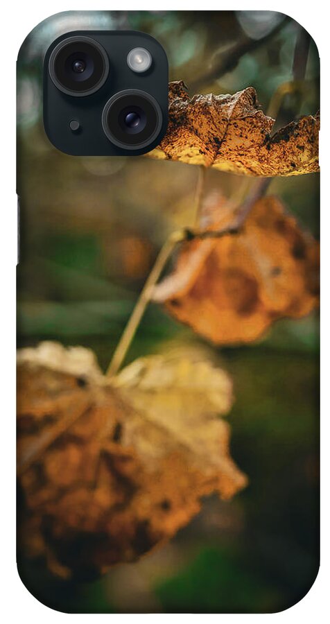 Yellow leaves  - Phone Case