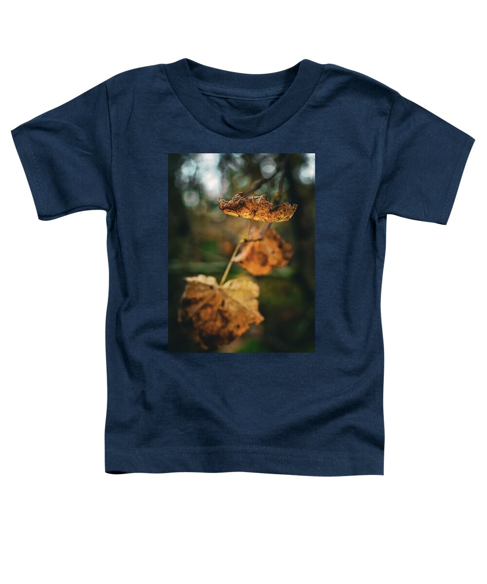 Yellow leaves  - Toddler T-Shirt