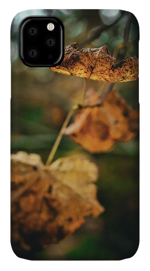 Yellow leaves  - Phone Case