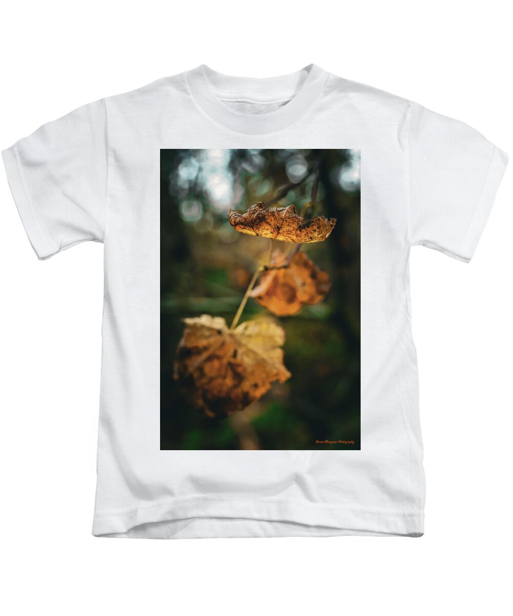 Yellow leaves  - Kids T-Shirt