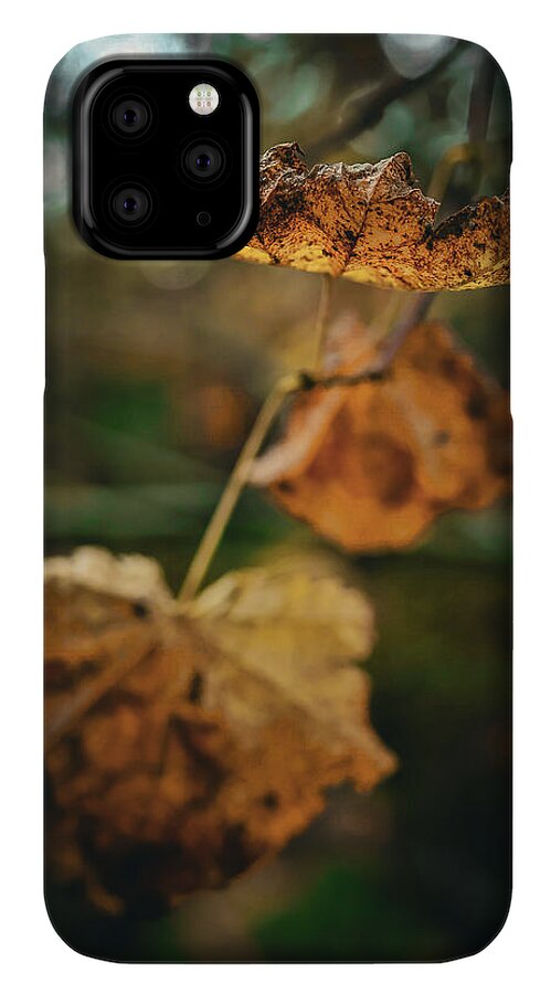 Yellow leaves  - Phone Case