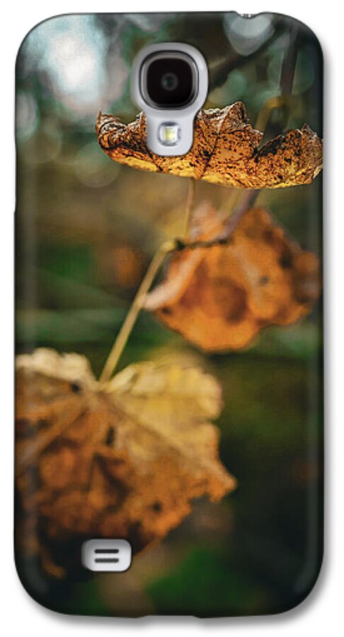 Yellow leaves  - Phone Case