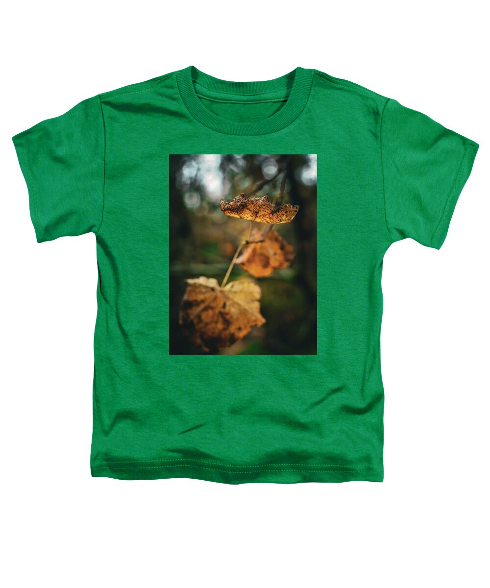 Yellow leaves  - Toddler T-Shirt