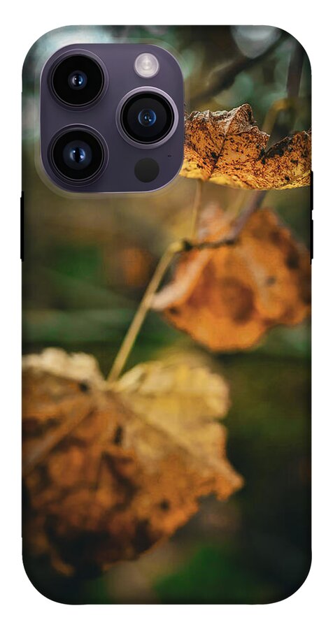 Yellow leaves  - Phone Case