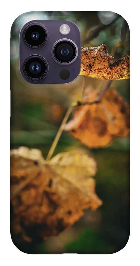 Yellow leaves  - Phone Case