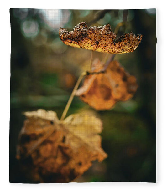 Yellow leaves  - Blanket