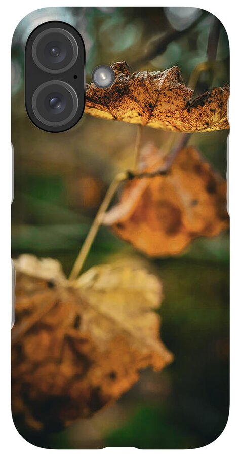 Yellow leaves  - Phone Case