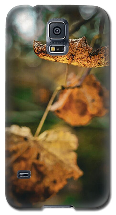 Yellow leaves  - Phone Case