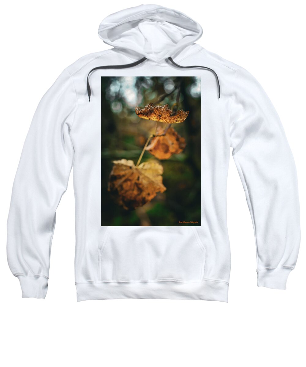 Yellow leaves  - Sweatshirt