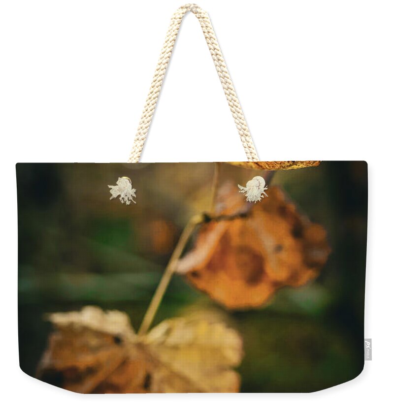 Yellow leaves  - Weekender Tote Bag