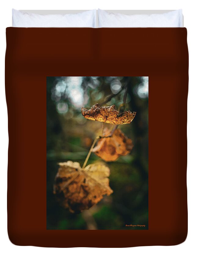 Yellow leaves  - Duvet Cover