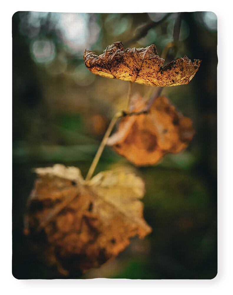 Yellow leaves  - Blanket