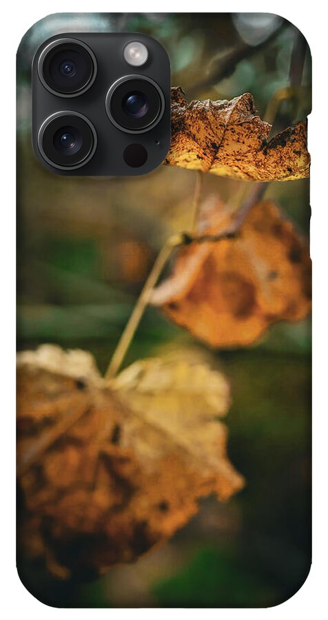 Yellow leaves  - Phone Case
