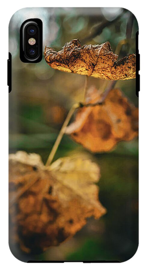 Yellow leaves  - Phone Case