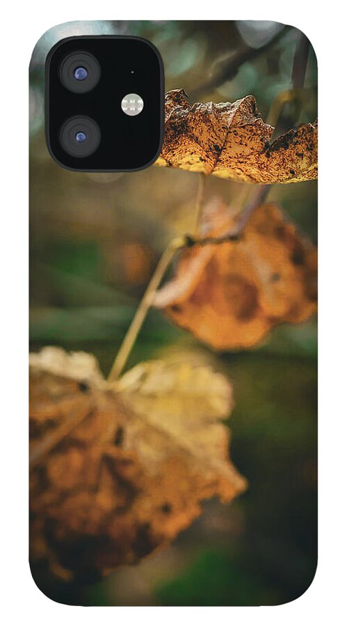 Yellow leaves  - Phone Case