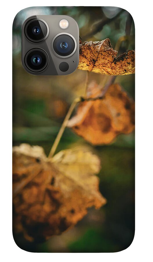 Yellow leaves  - Phone Case