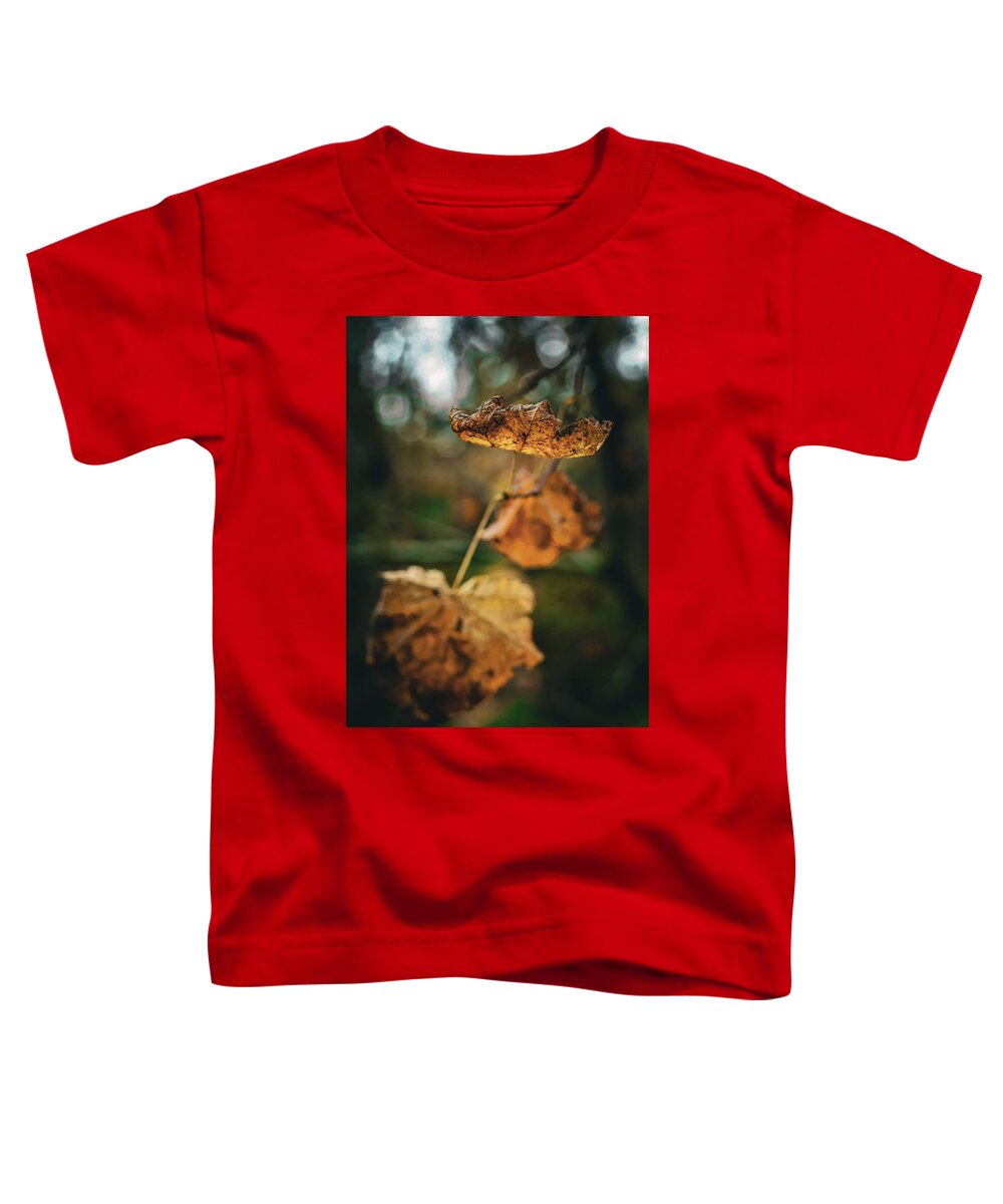 Yellow leaves  - Toddler T-Shirt
