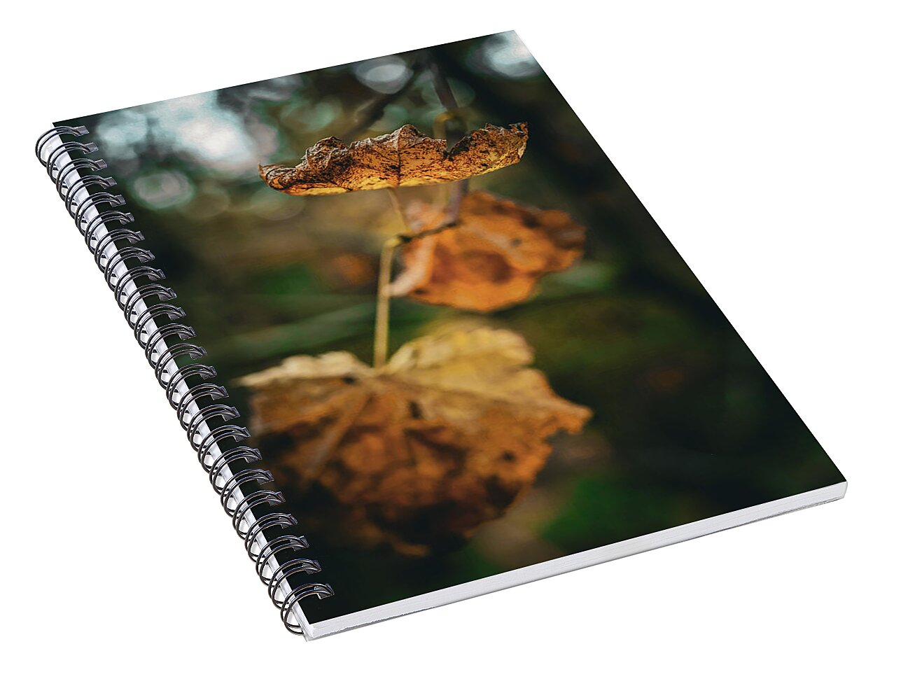 Yellow leaves  - Spiral Notebook