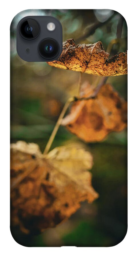 Yellow leaves  - Phone Case