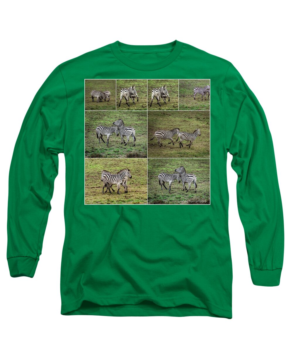 Zebras in play - Long Sleeve T-Shirt