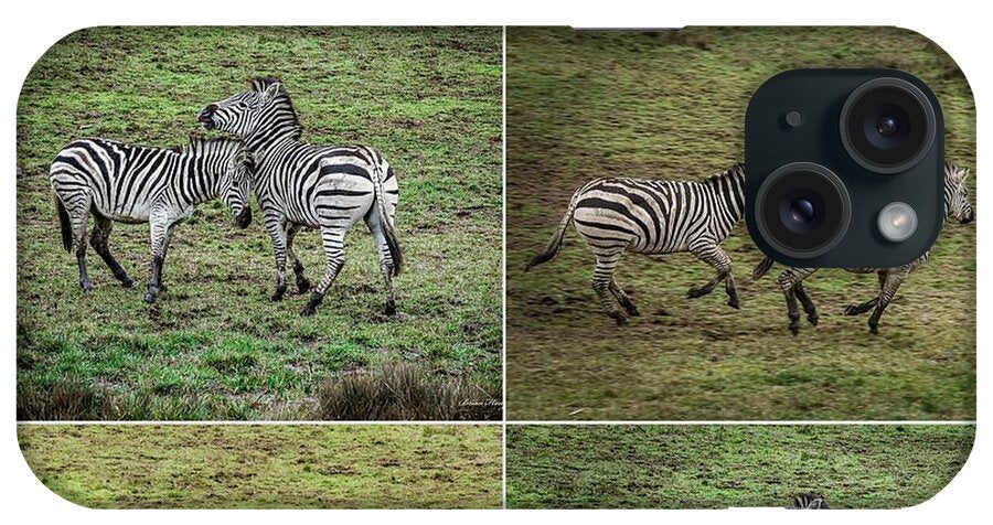 Zebras in play - Phone Case