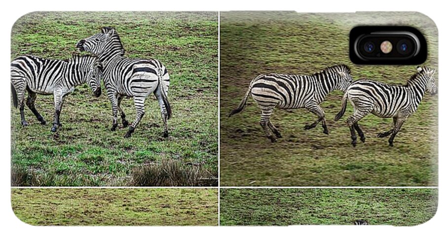 Zebras in play - Phone Case