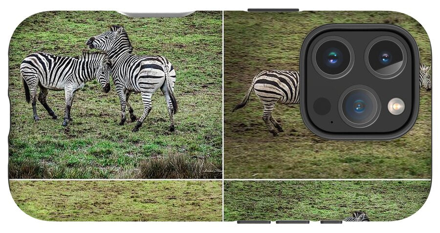 Zebras in play - Phone Case