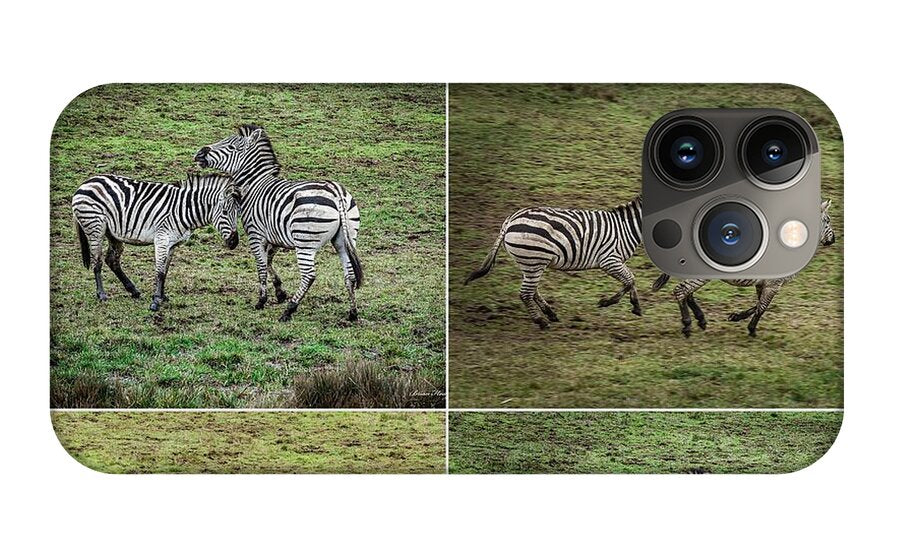 Zebras in play - Phone Case