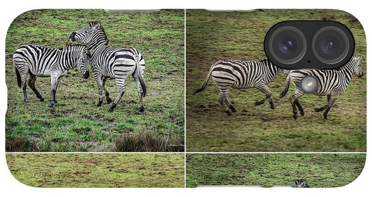 Zebras in play - Phone Case