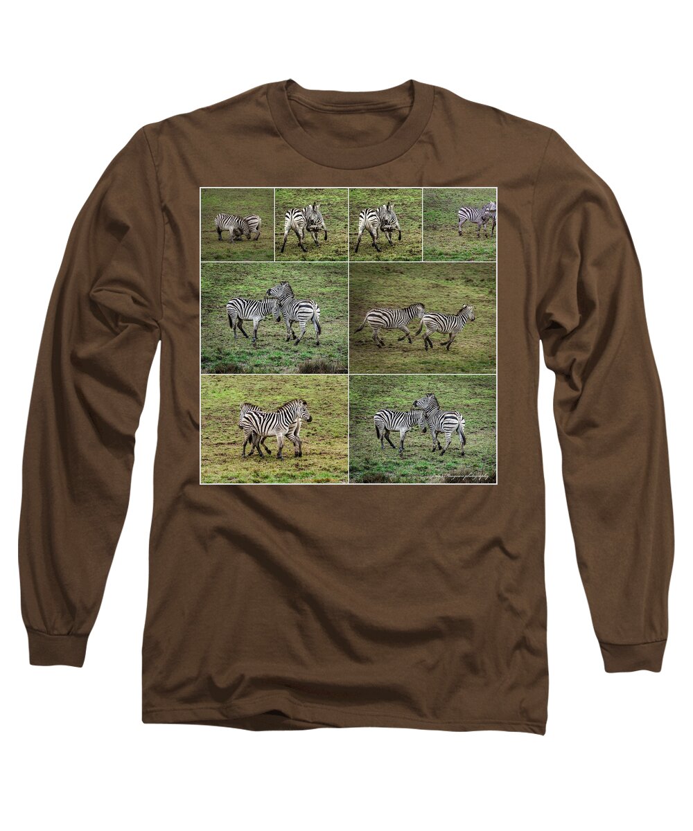 Zebras in play - Long Sleeve T-Shirt