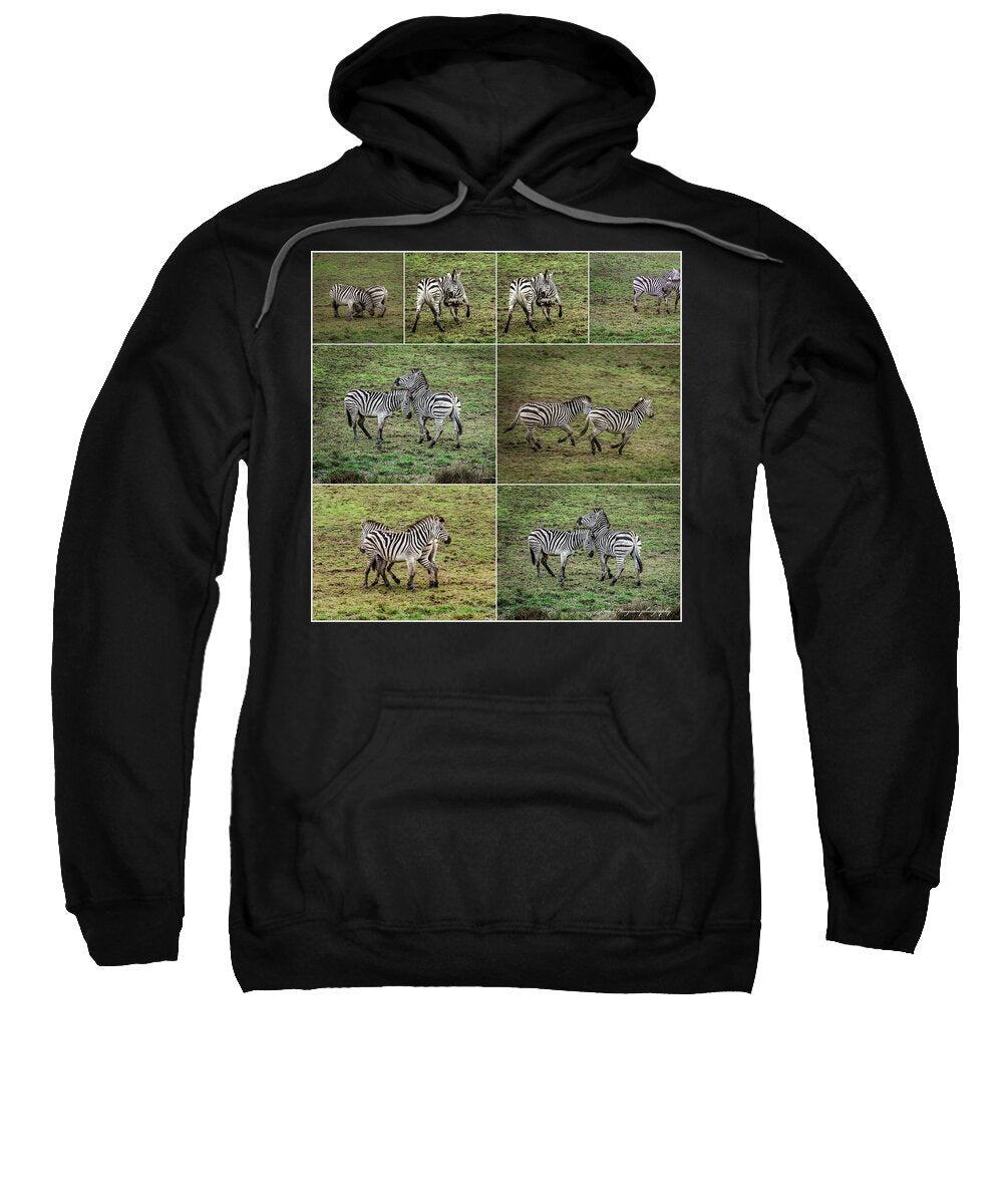 Zebras in play - Sweatshirt