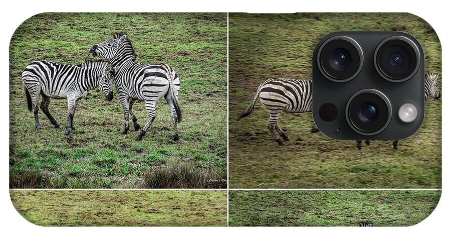 Zebras in play - Phone Case