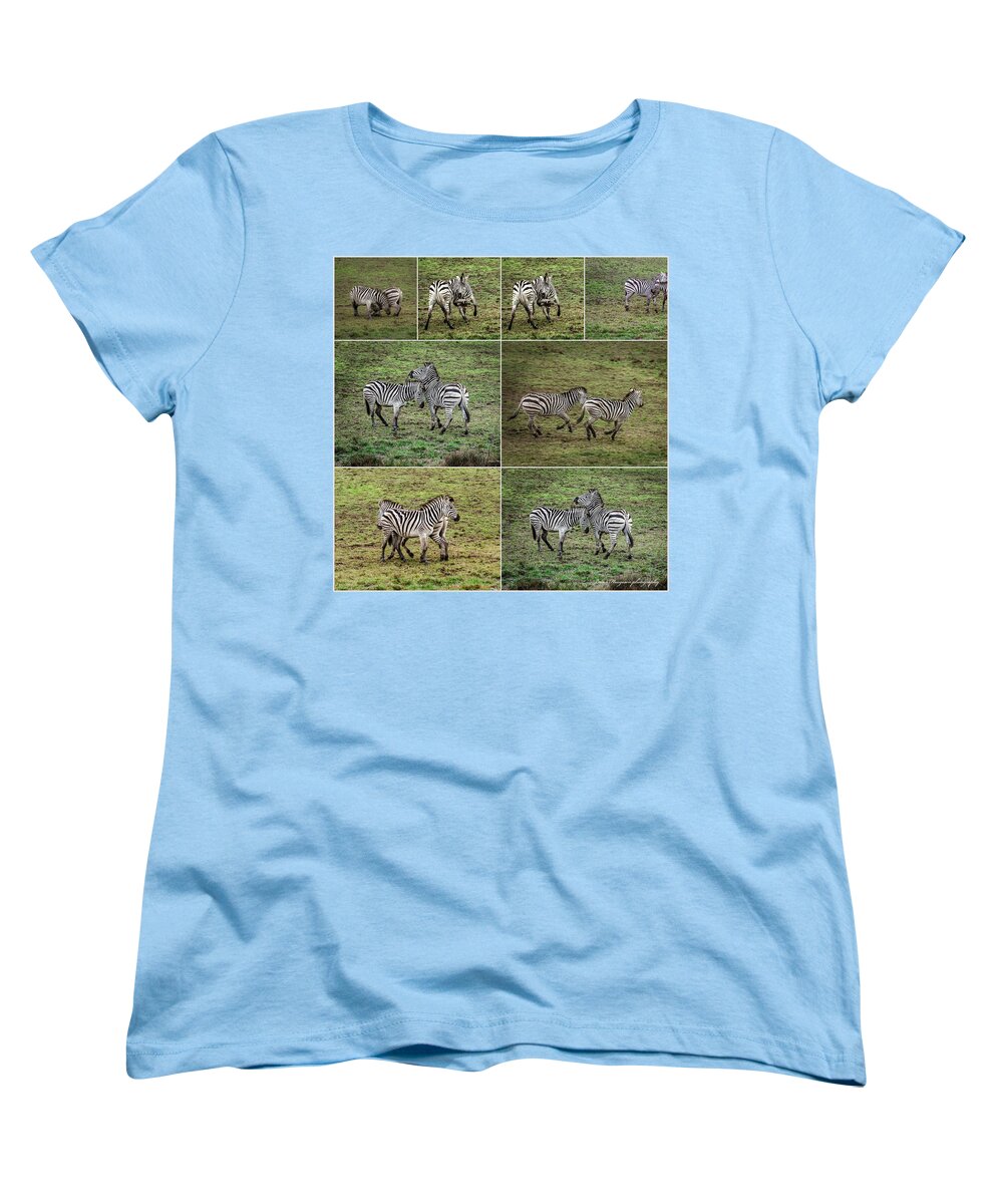 Zebras in play - Women's T-Shirt (Standard Fit)