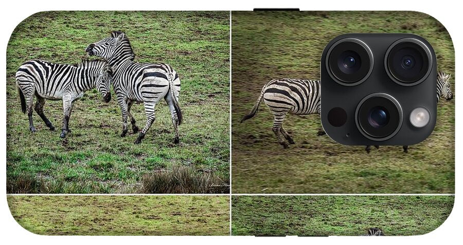 Zebras in play - Phone Case