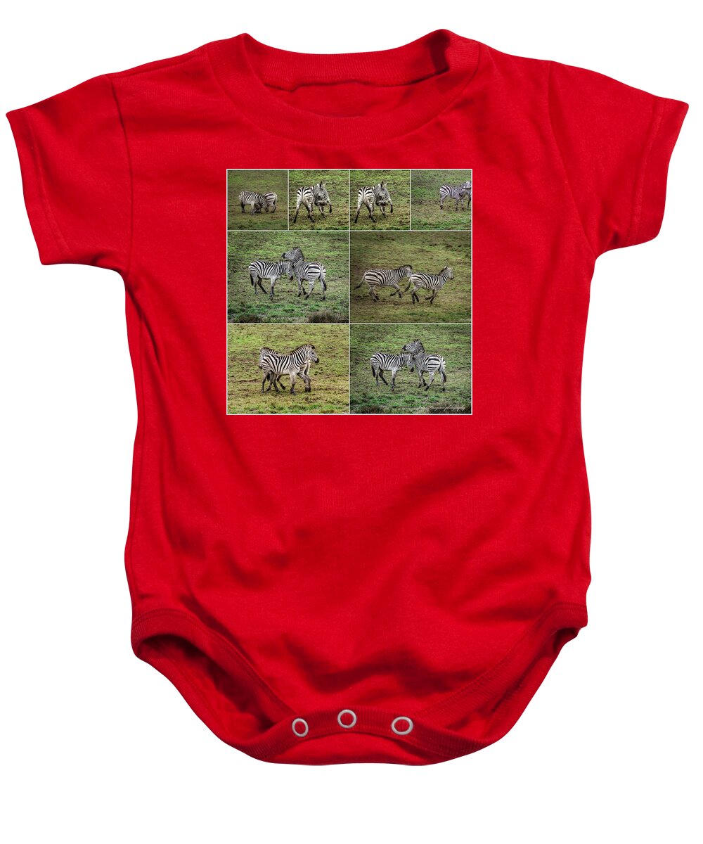 Zebras in play - Baby Onesie