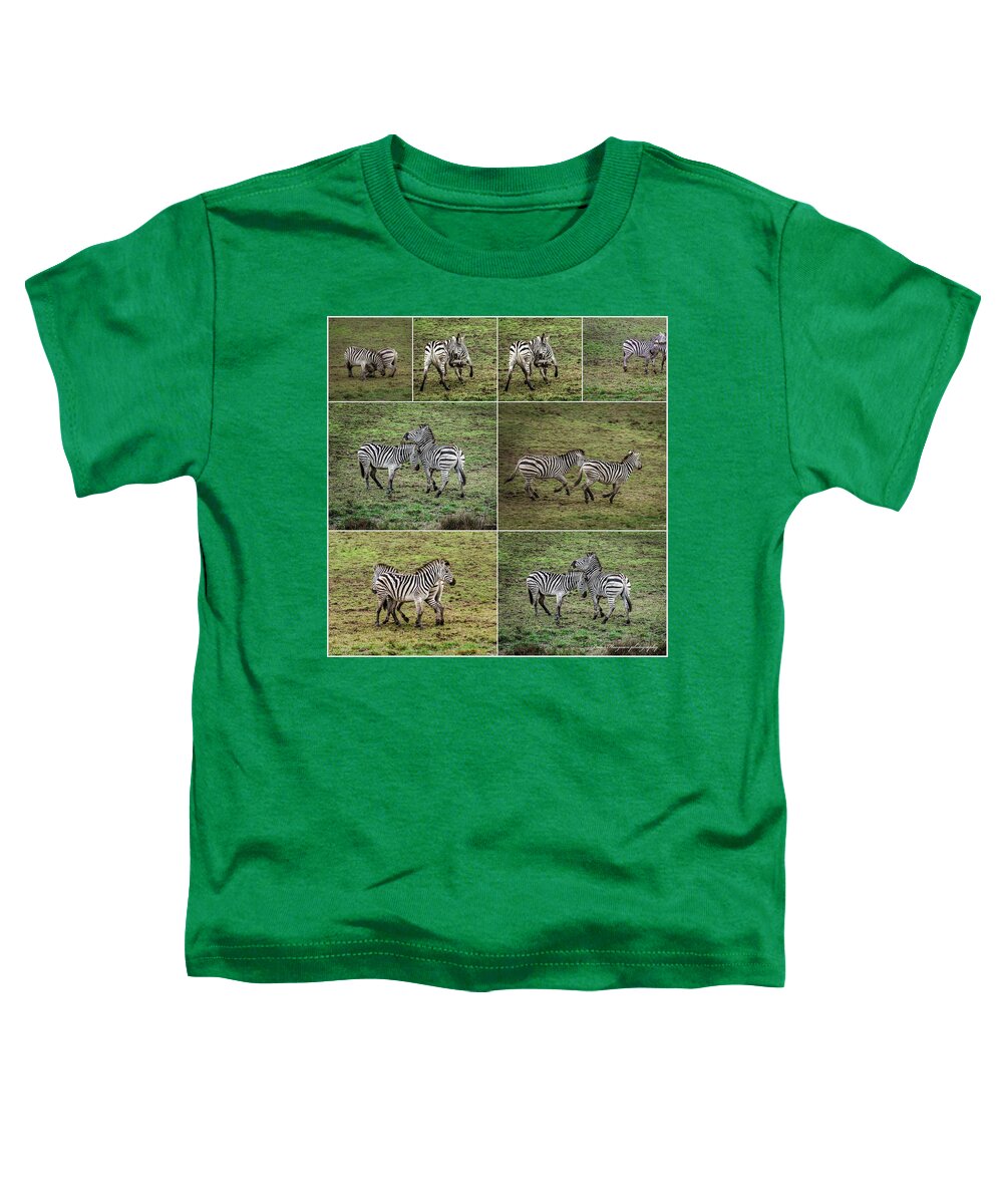 Zebras in play - Toddler T-Shirt