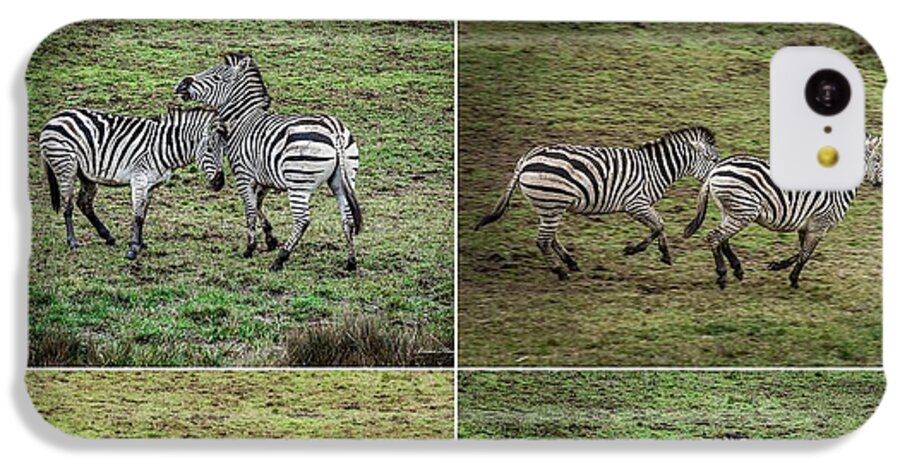 Zebras in play - Phone Case