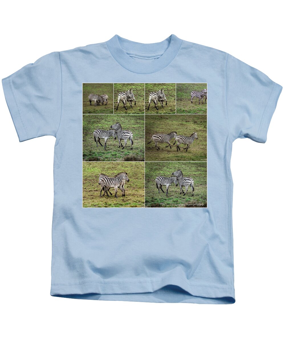 Zebras in play - Kids T-Shirt