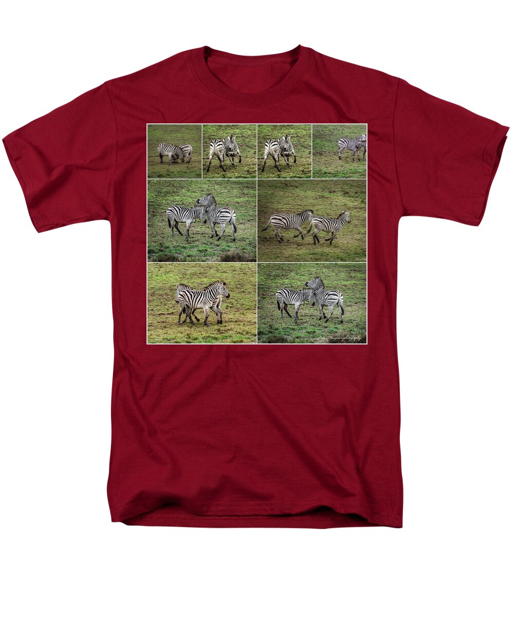 Zebras in play - Men's T-Shirt  (Regular Fit)