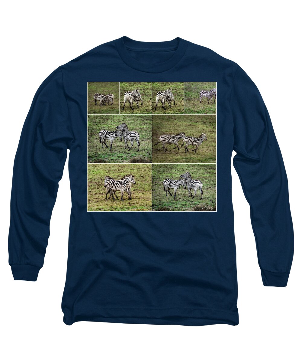 Zebras in play - Long Sleeve T-Shirt