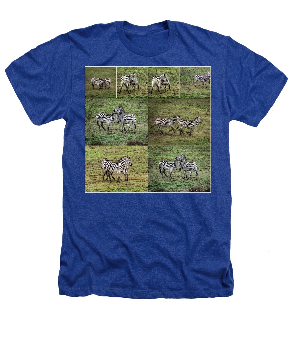 Zebras in play - Heathers T-Shirt