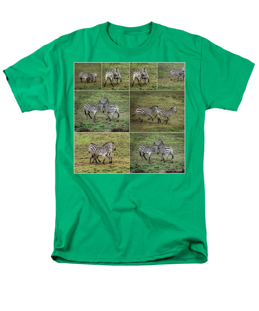 Zebras in play - Men's T-Shirt  (Regular Fit)