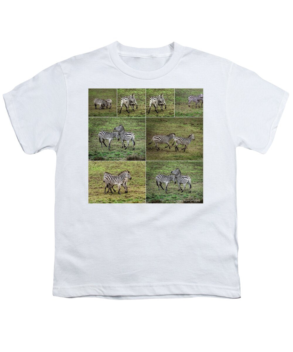 Zebras in play - Youth T-Shirt
