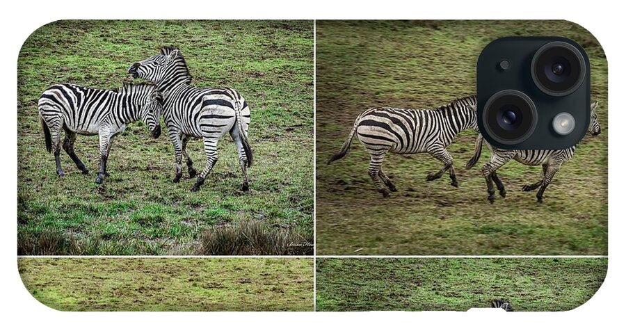 Zebras in play - Phone Case
