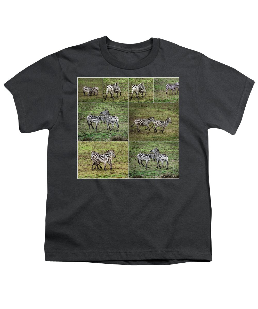 Zebras in play - Youth T-Shirt