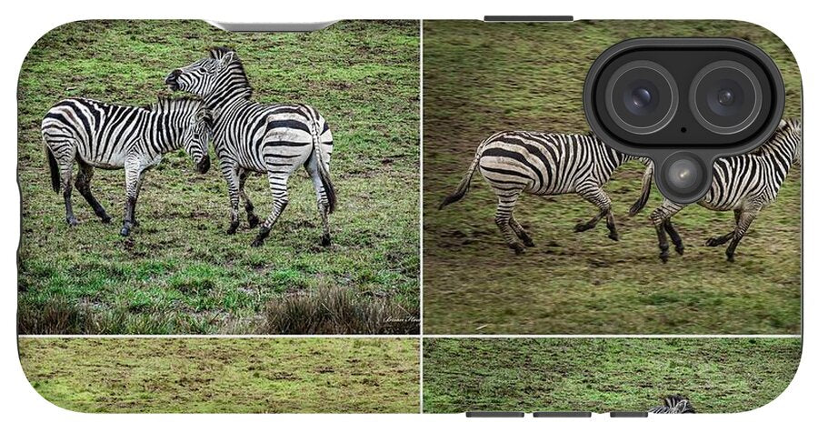 Zebras in play - Phone Case
