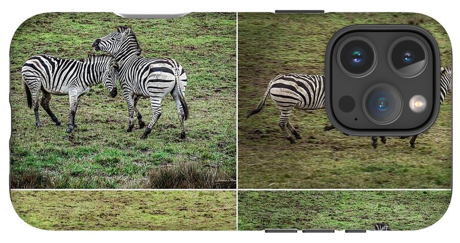 Zebras in play - Phone Case