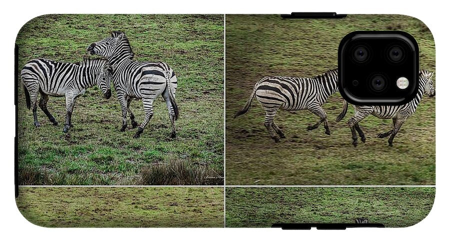 Zebras in play - Phone Case