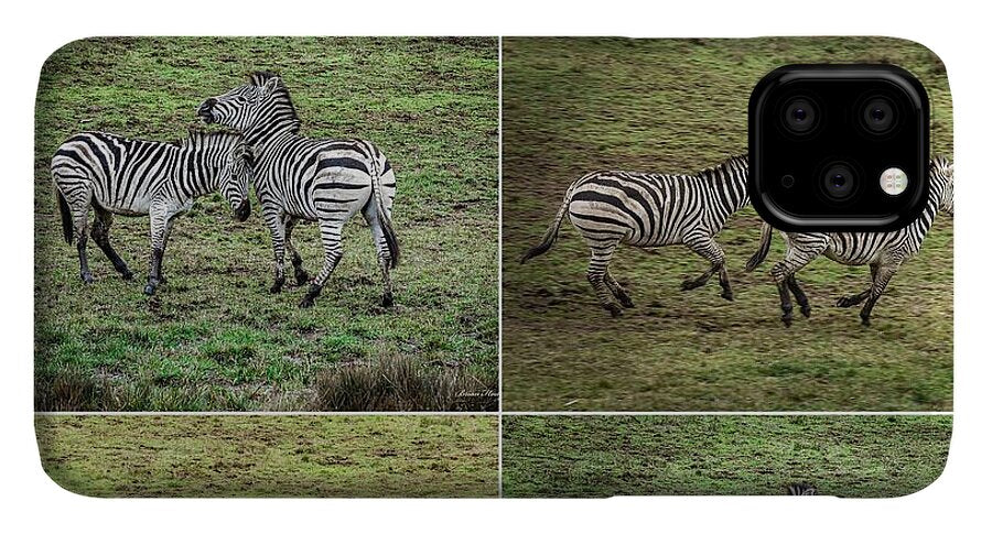 Zebras in play - Phone Case