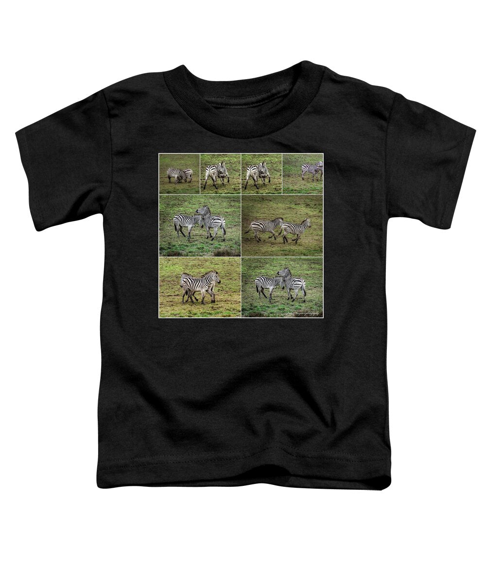 Zebras in play - Toddler T-Shirt